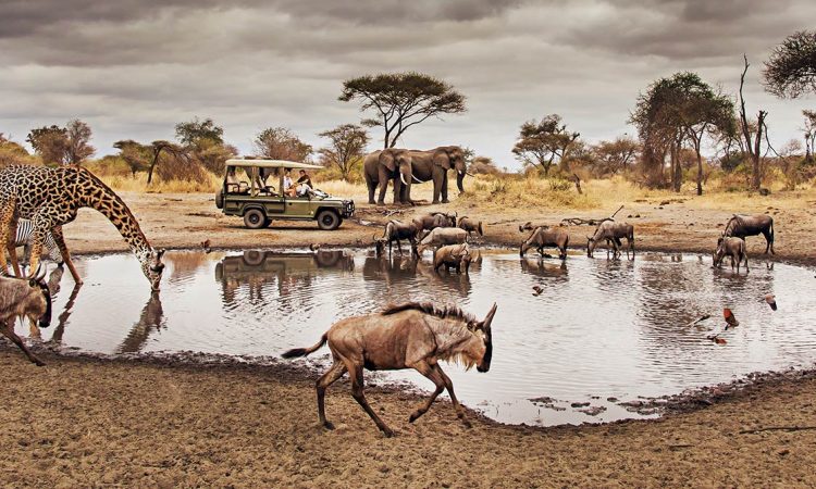 Tanzania National Parks