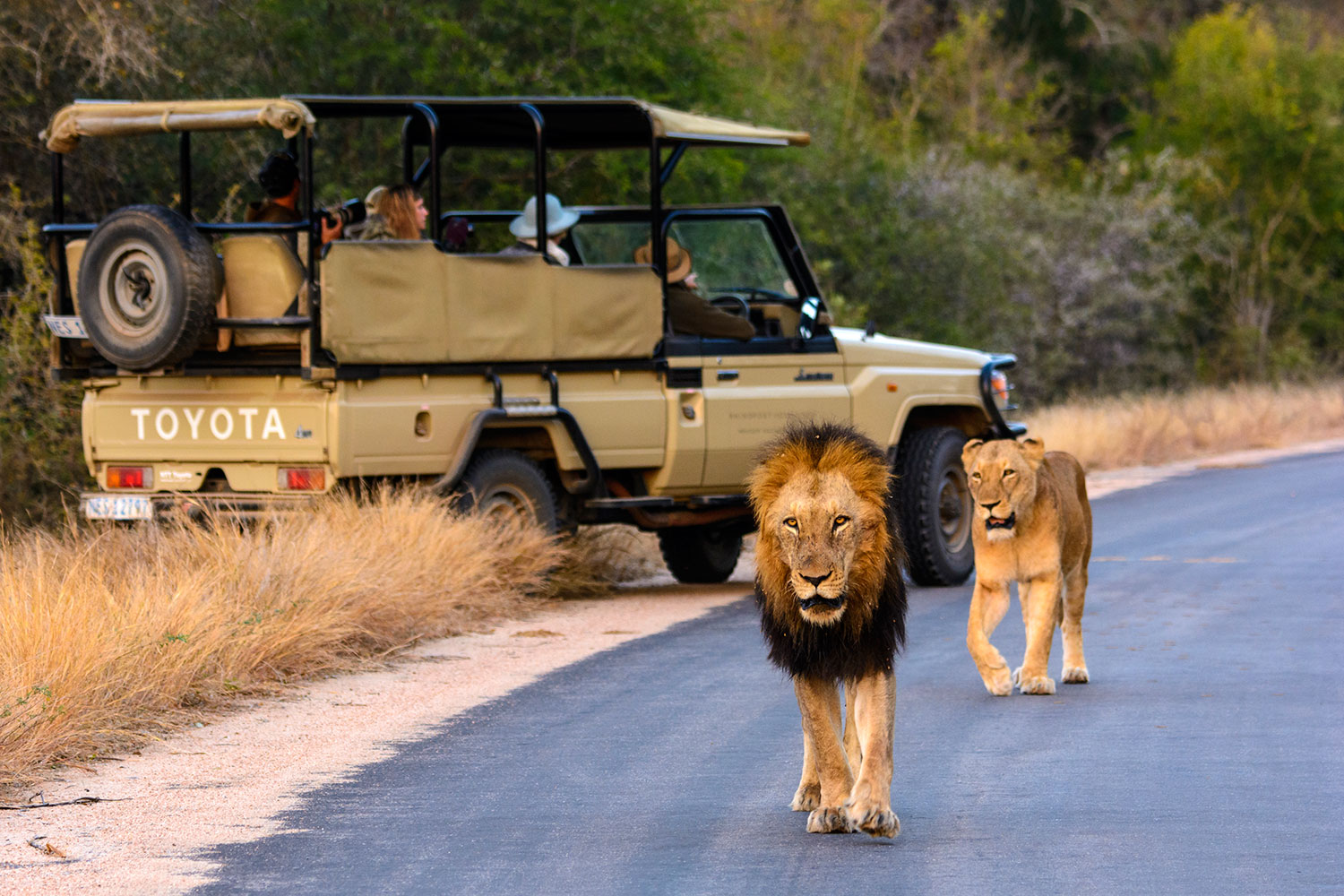 Uganda Safaris