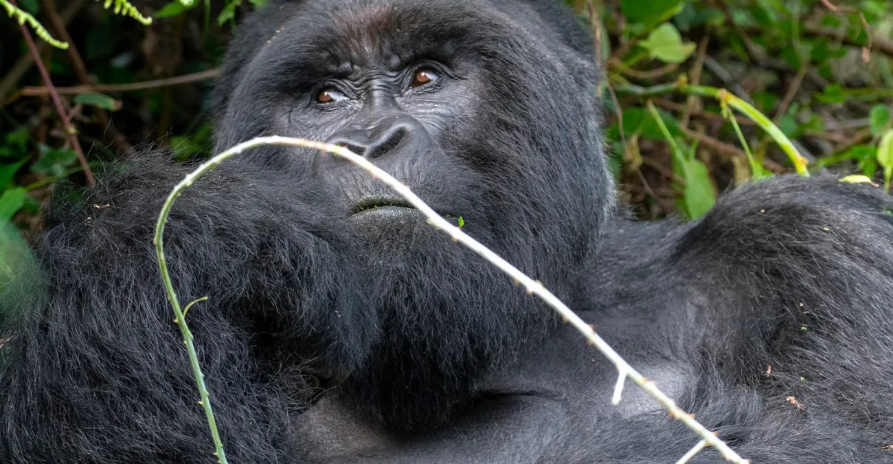 What to Expect During the Trek