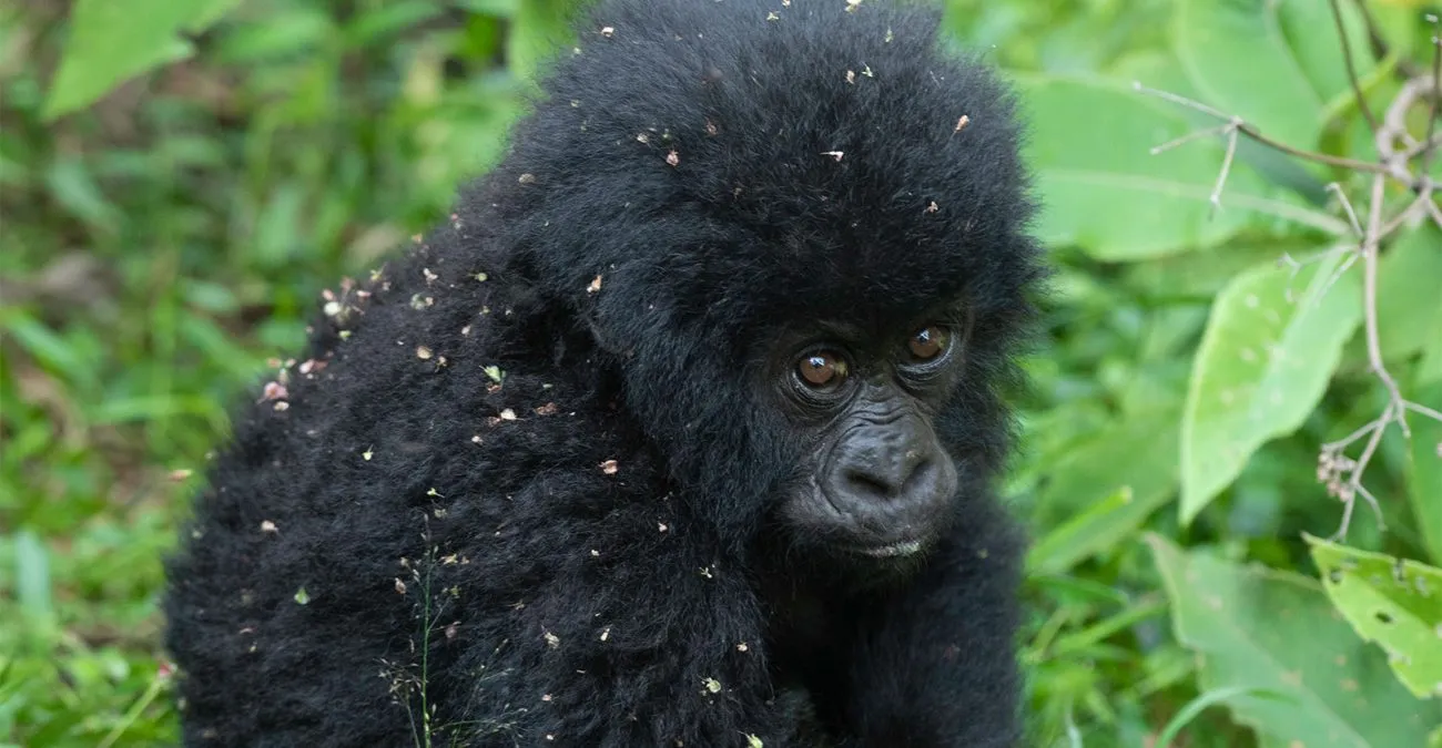 What to Expect During the Trek