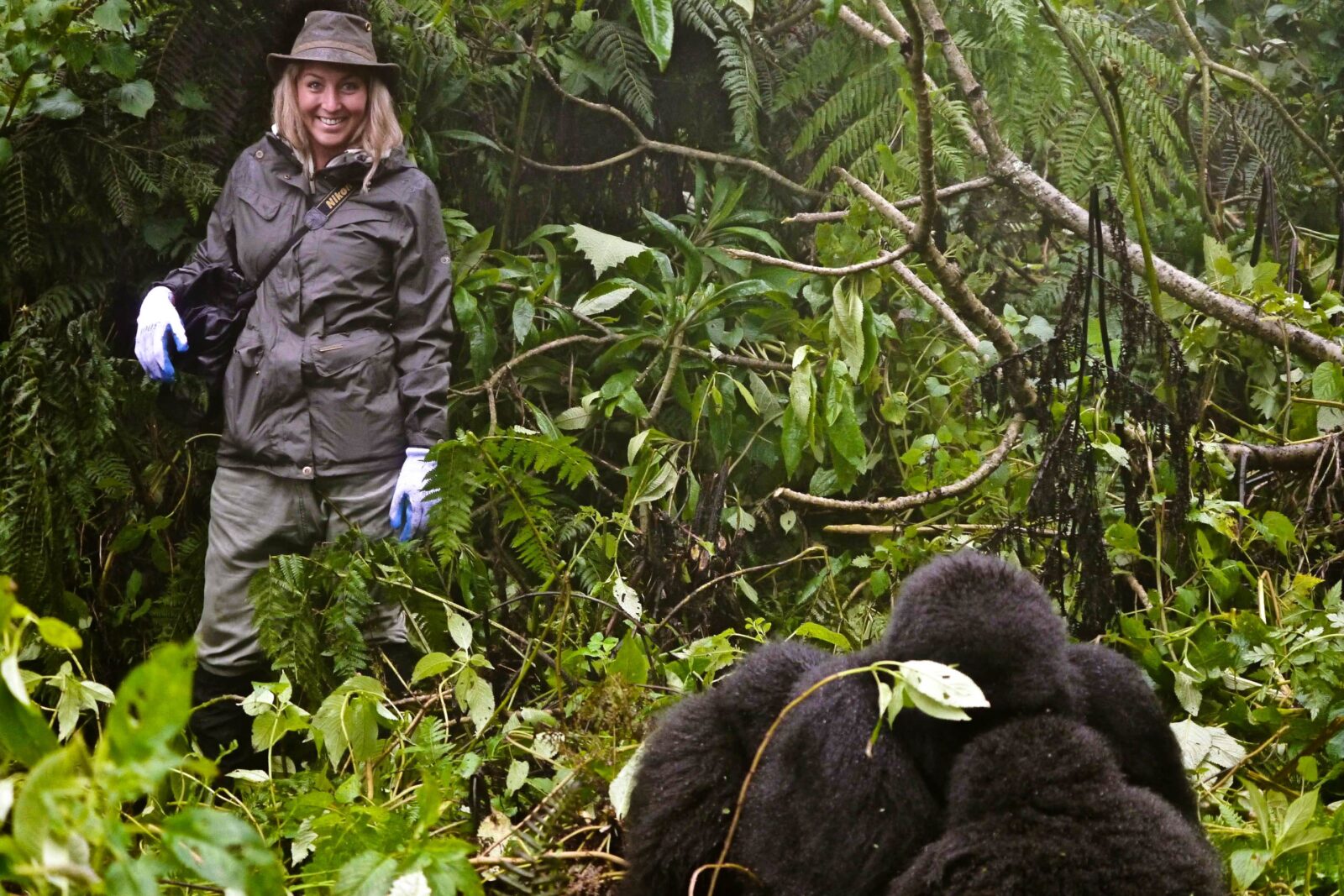 When to Go Gorilla Trekking